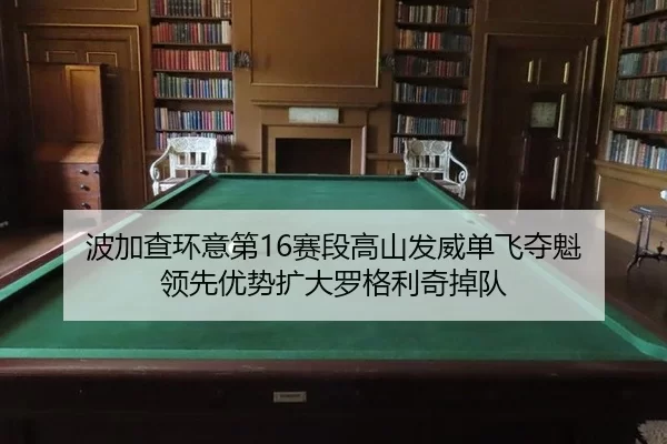 bo-jia-cha-huan-yi-di-sai-duan-gao-shan-fa-wei-dan-fei-duo-kui-ling-xian-you-shi-kuo-da-luo-ge-li-qi-diao-dui-2-861.jpg